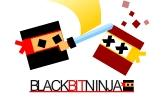 Black Bit Ninja